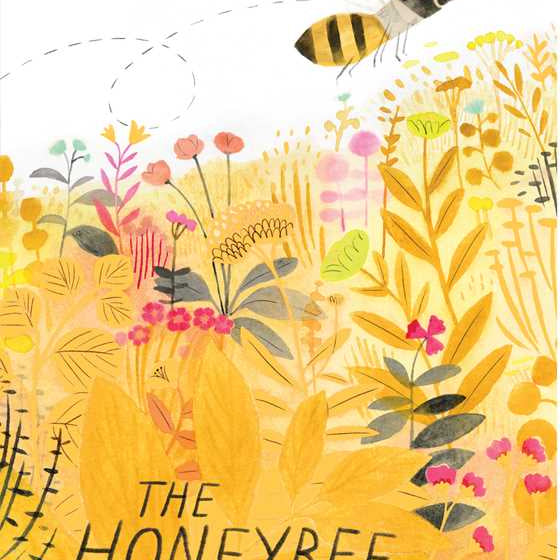 Close-up of The Honeybee Board Book by Simon & Schuster, showing colorful illustrations on the cover.