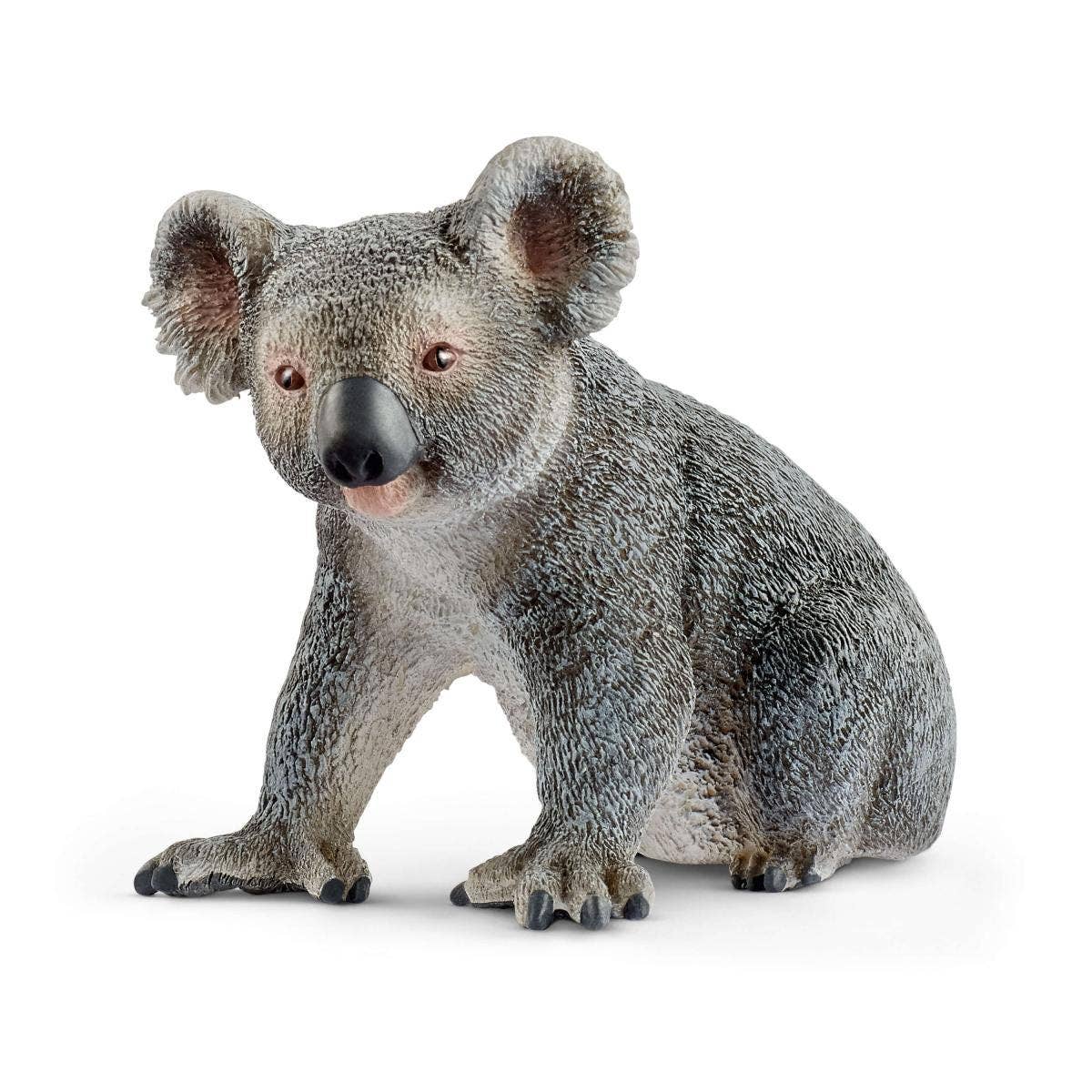 Koala Bear Toy