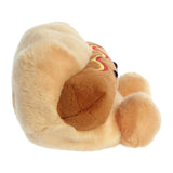 Soft Hot Dog Palm Pal plush toy from Palm Pals featuring a cute, squeezable hot dog design for kids and collectors.