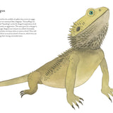 Colorful World of Reptiles by Matt Sewell