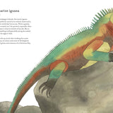 Colorful World of Reptiles by Matt Sewell