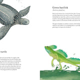 Colorful World of Reptiles by Matt Sewell