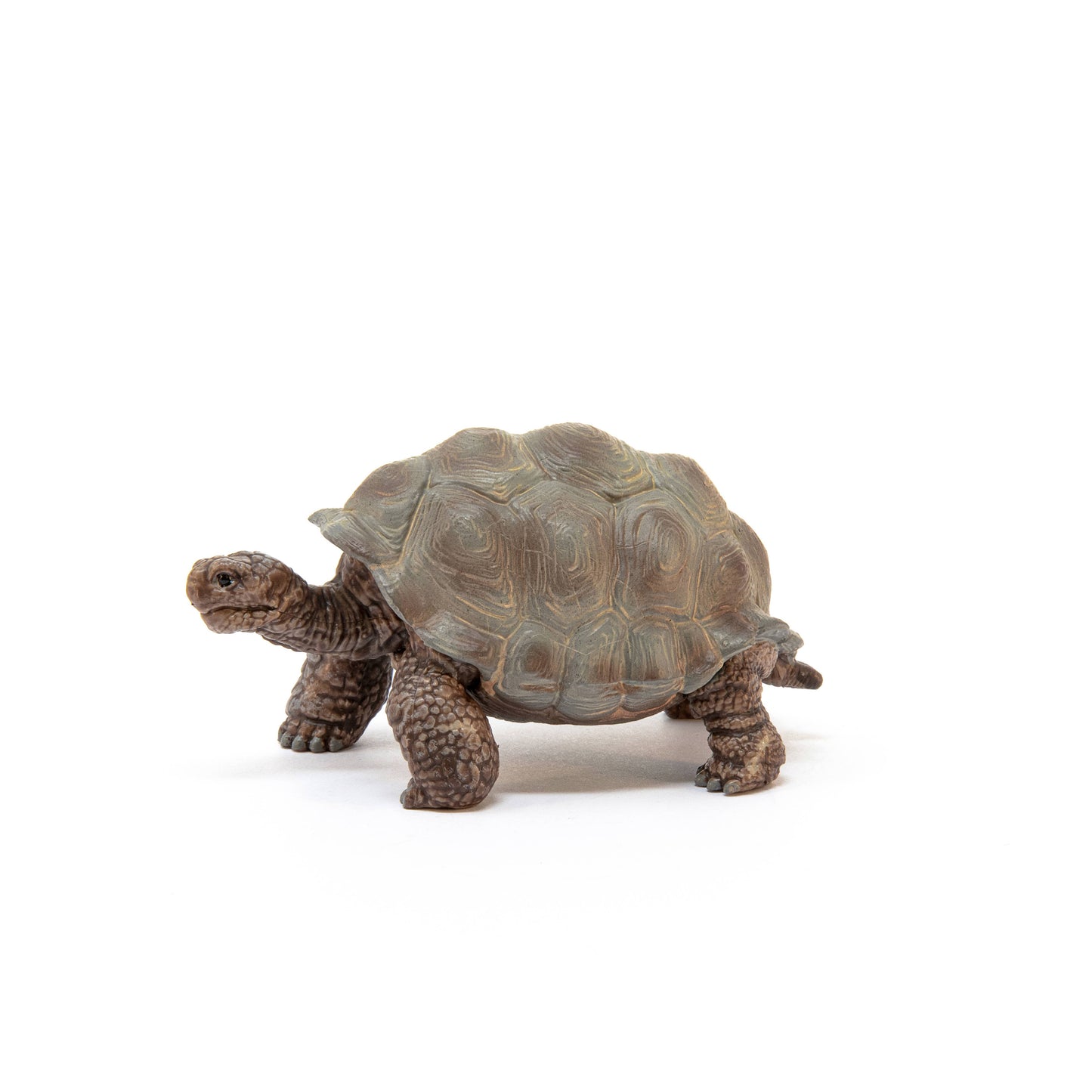 Giant Tortoise Animal Toy