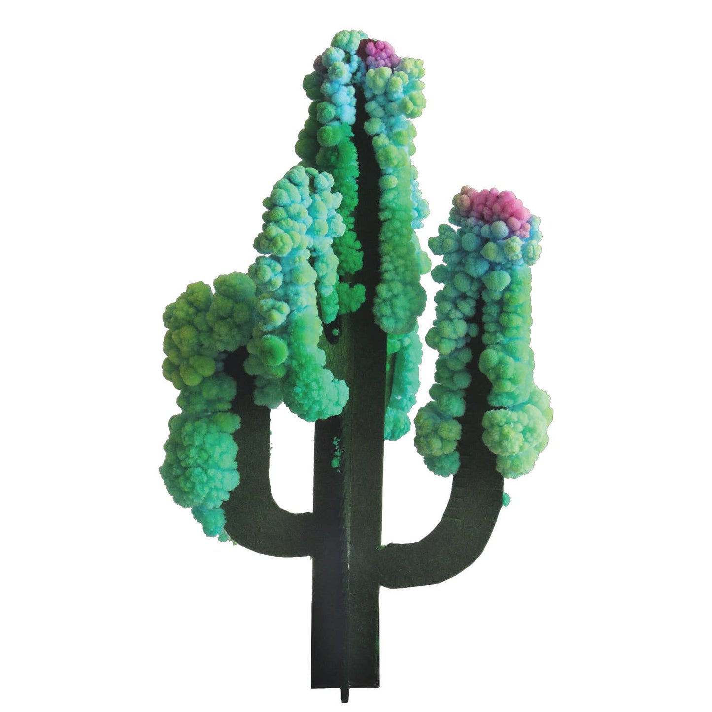 CRYSTAL GROWING SAGUARO CACTUS - Toy Polloi