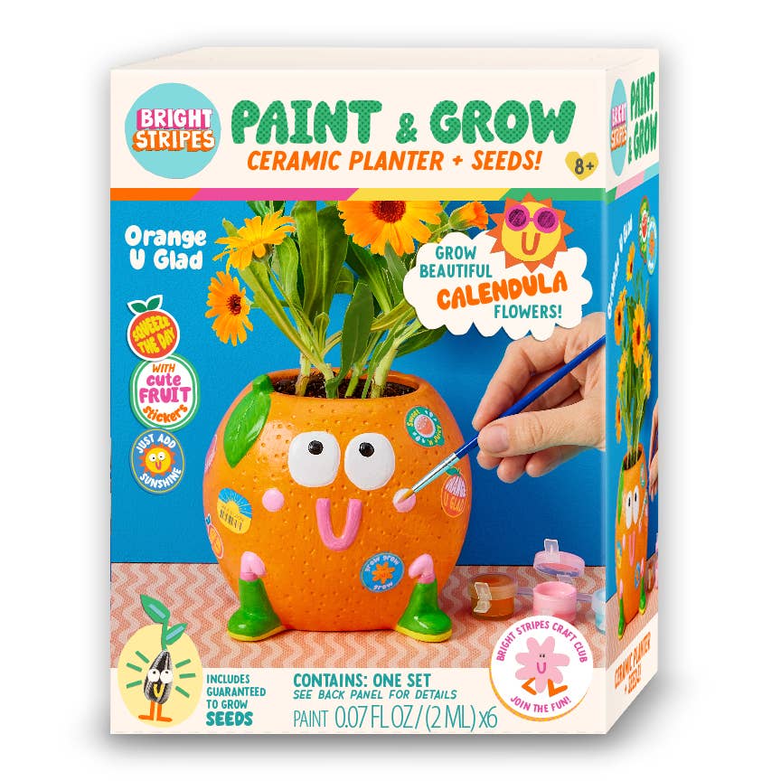 Bright Stripes Paint & Grow Orange Kit for arts and crafts, featuring vibrant orange paints, seeds, and craft tools in the image.