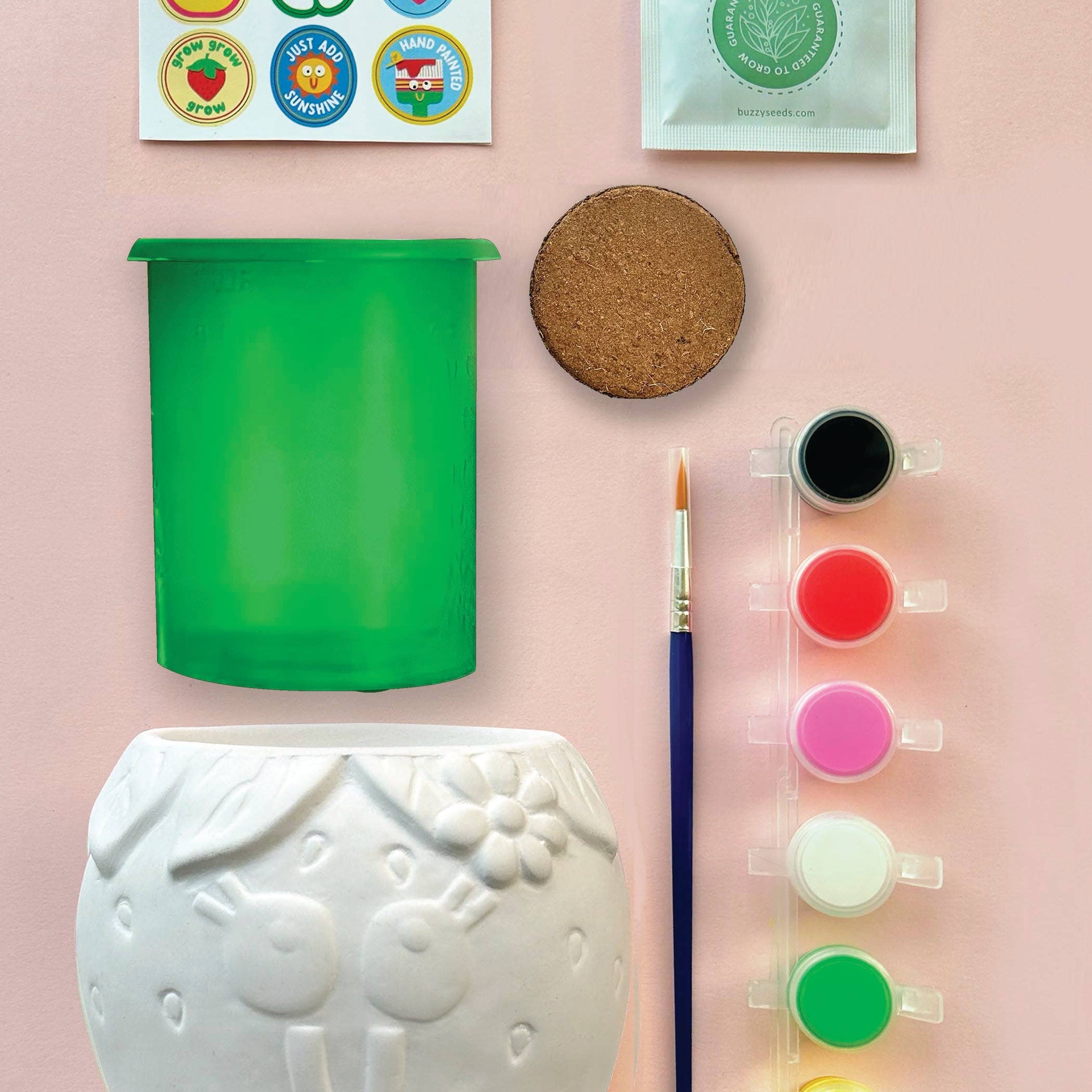 Bright Stripes Paint & Grow Strawberry Craft Kit with colorful paints, brushes, and strawberry plant components for arts and crafts.