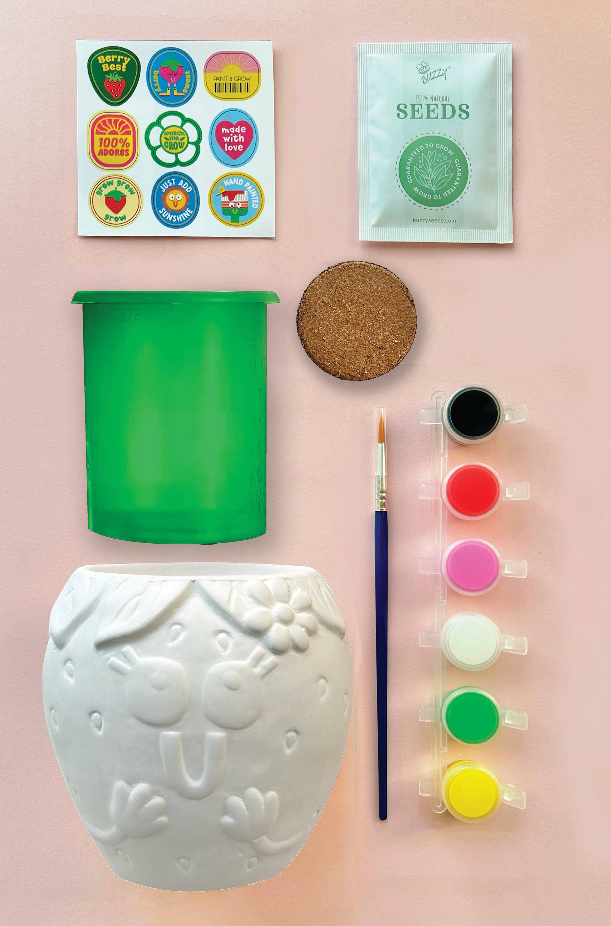 Bright Stripes Paint & Grow Strawberry Craft Kit with colorful paints, brushes, and strawberry plant components for arts and crafts.