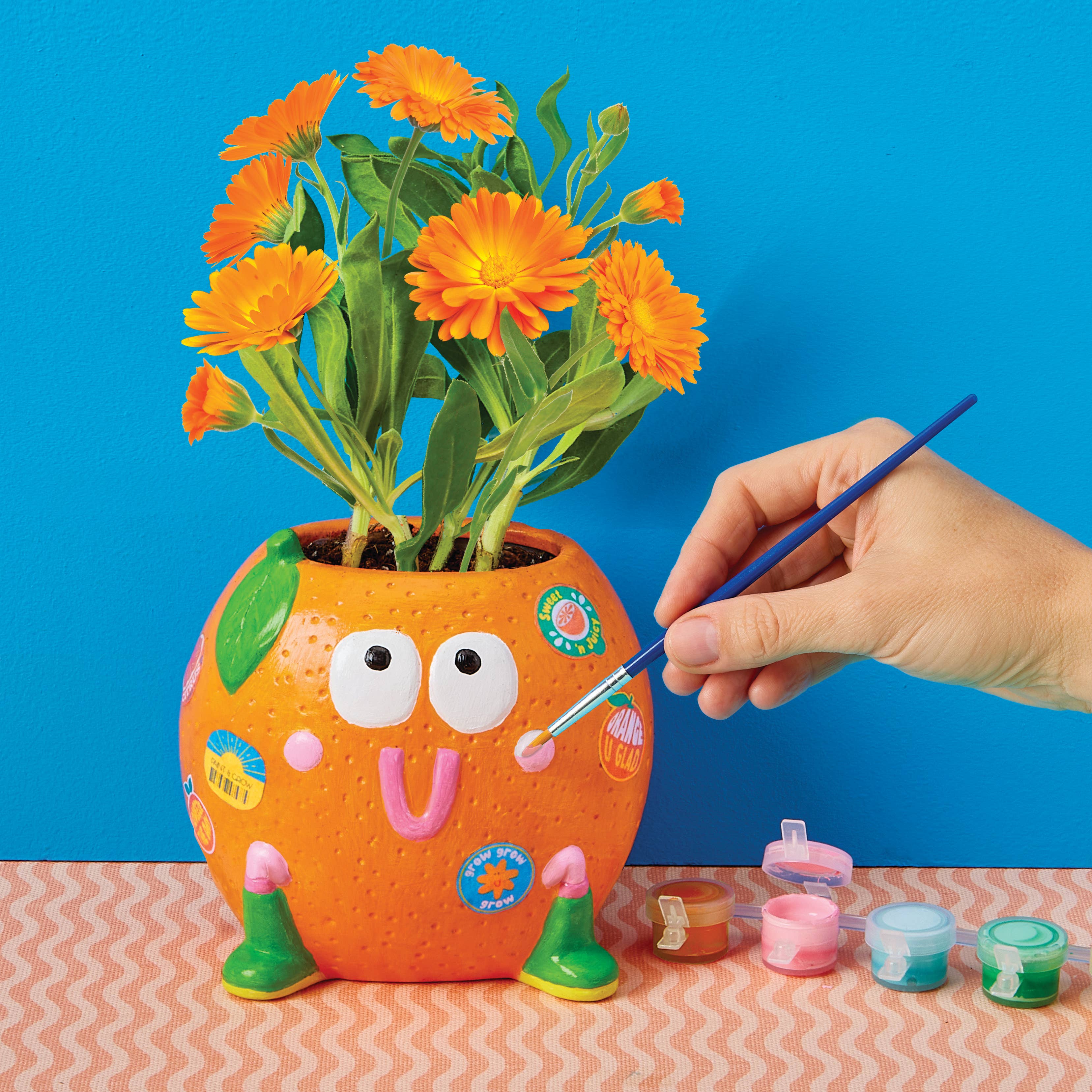 Bright Stripes Paint & Grow Orange Kit for arts and crafts, featuring vibrant orange paints and craft materials on a white background.