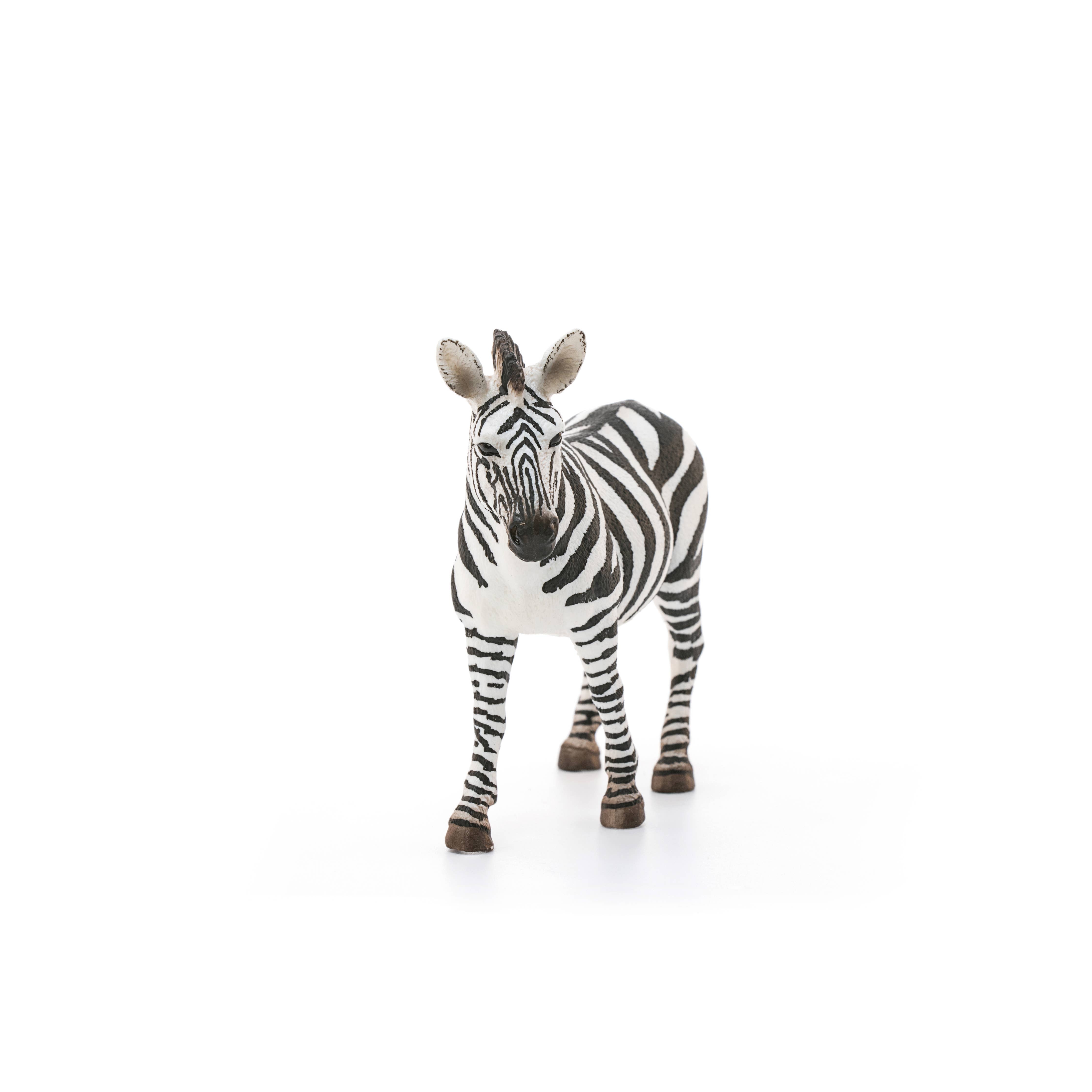 Schleich Zebra Safari Animal Toy - Toy Polloi