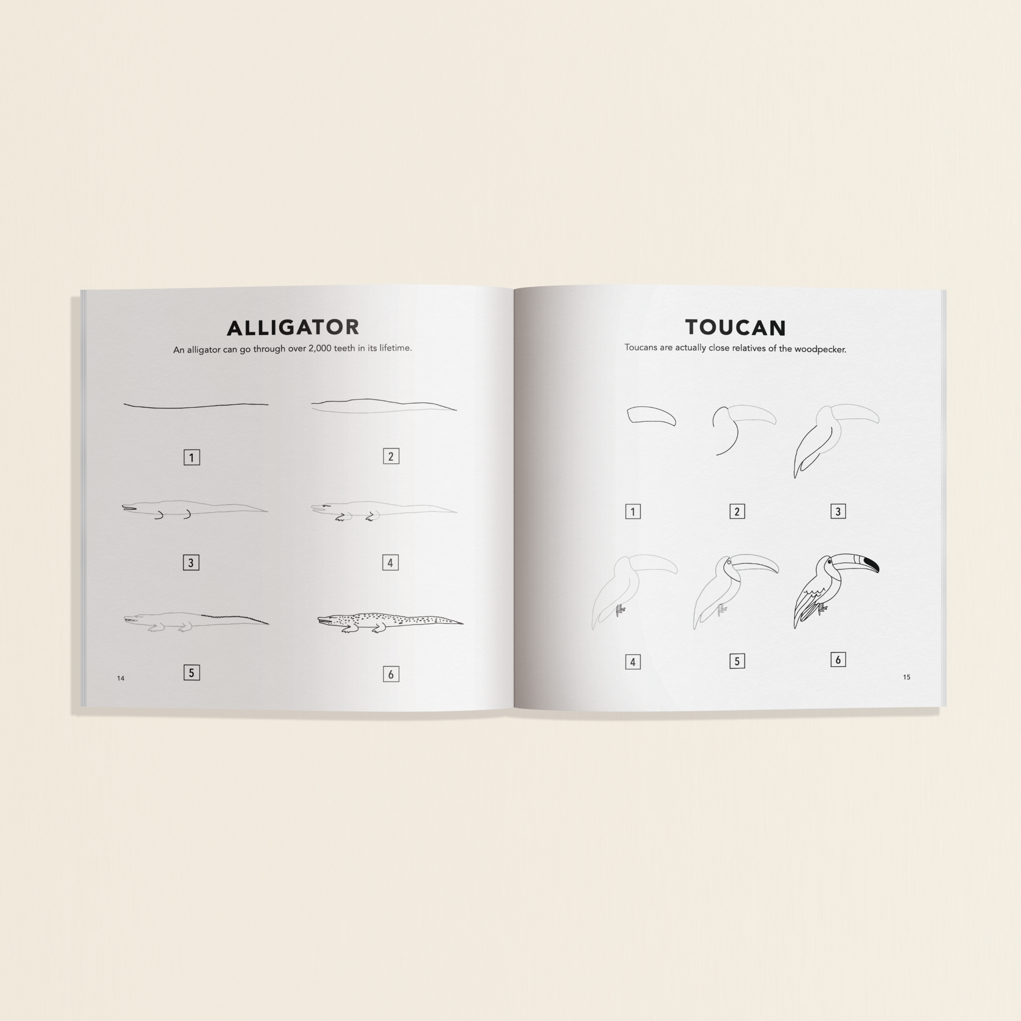 How to Draw Animals Books for Kids (Mini) - Toy Polloi