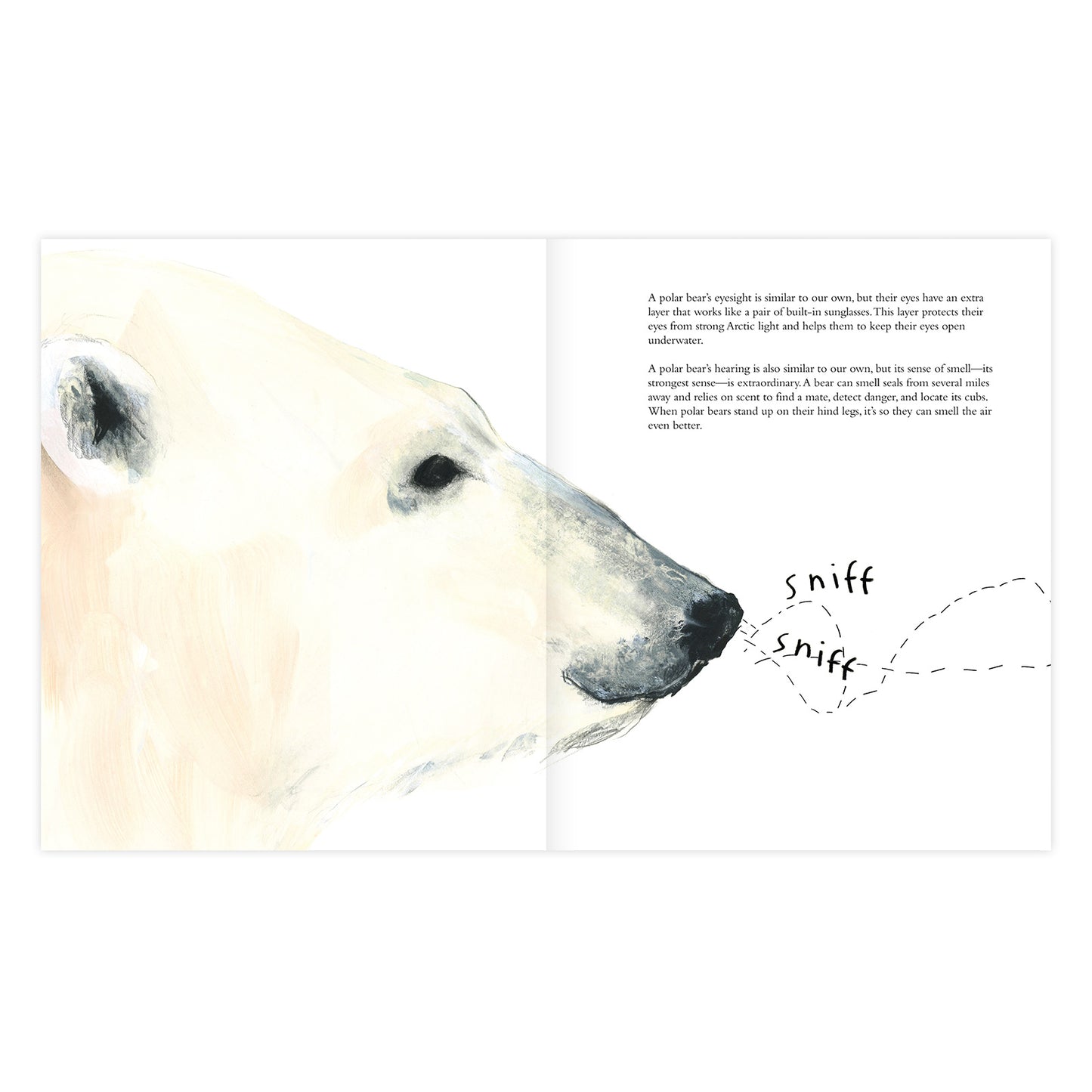 The Polar Bear Book