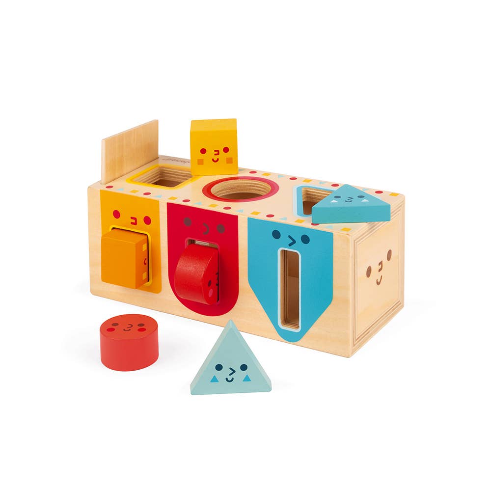 Geometric Shape Sorting Box - Toy Polloi