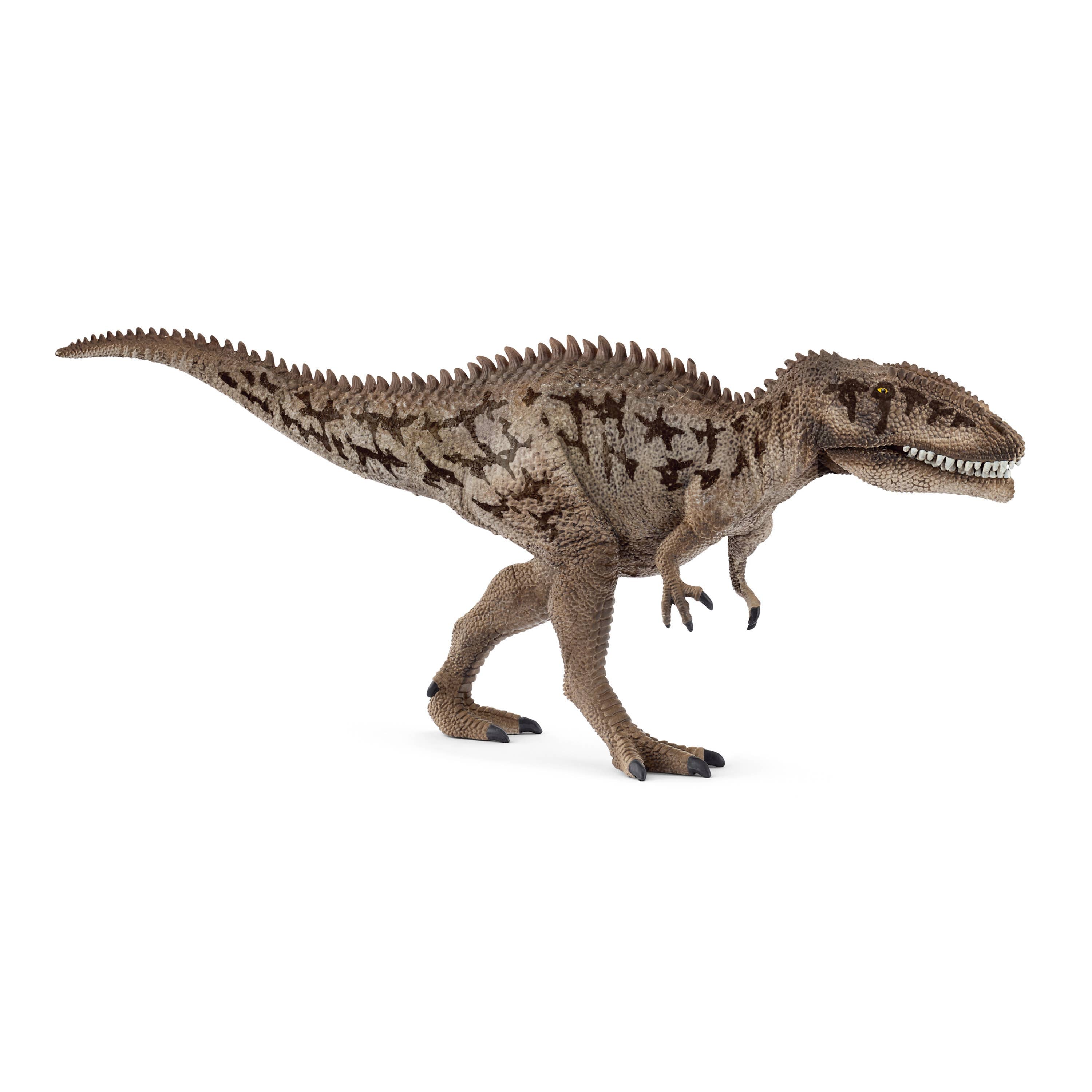 Carcharodontosaurus - Toy Polloi
