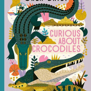 Curious About Crocodiles - Toy Polloi