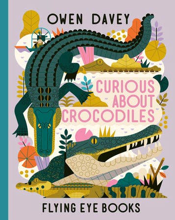 Curious About Crocodiles - Toy Polloi