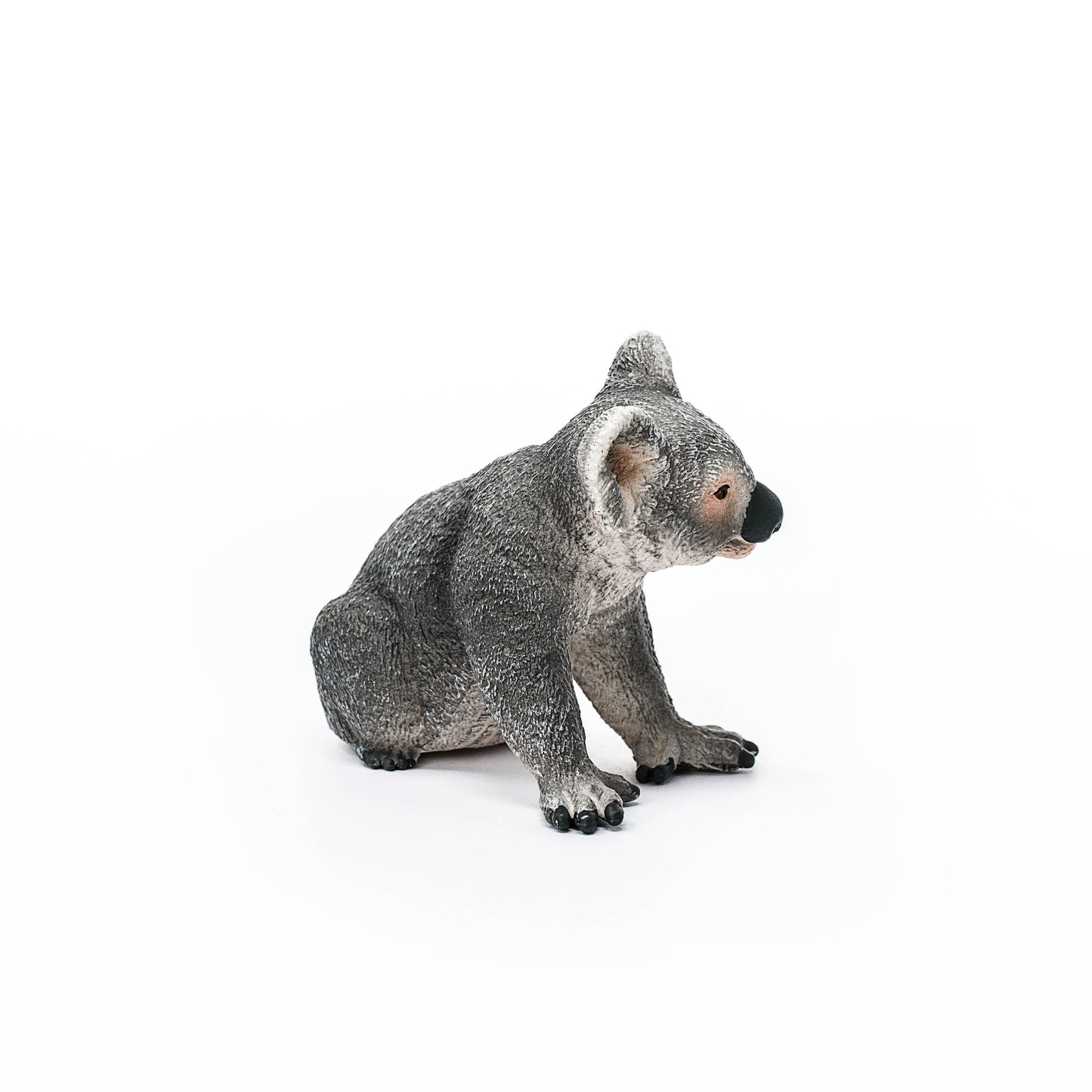 Koala Bear Toy