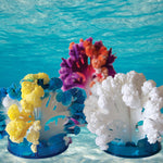 Crystal Growing Coral Reef - Toy Polloi