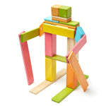 Tegu 24 Piece Magnetic Wooden Block Set: Tints - Toy Polloi