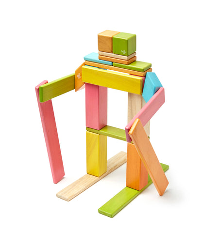 Tegu 24 Piece Magnetic Wooden Block Set: Tints - Toy Polloi