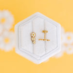 Daisy Crawler - Toy Polloi