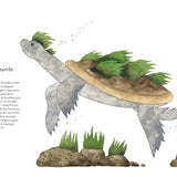 Colorful World of Reptiles by Matt Sewell