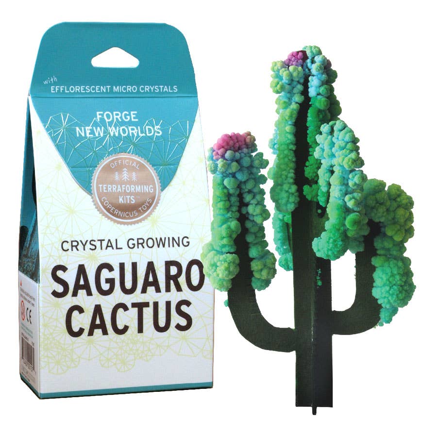 CRYSTAL GROWING SAGUARO CACTUS - Toy Polloi