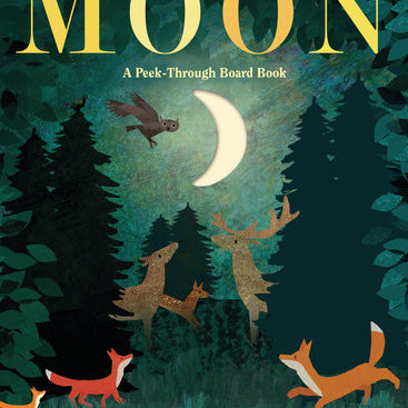 Child holding the "Moon: A Peek-Through Board Book" by Penguin Random House, featuring colorful moon illustrations.