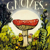 The Hidden World of Gnomes Book