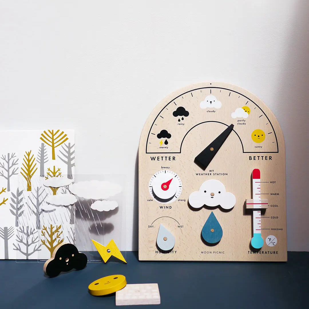 Moon Picnic Weather Station
